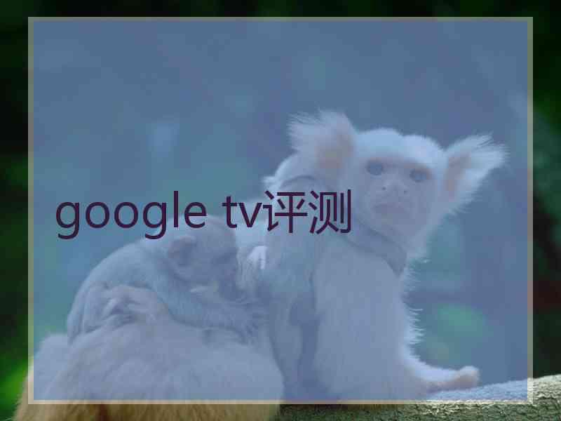 google tv评测