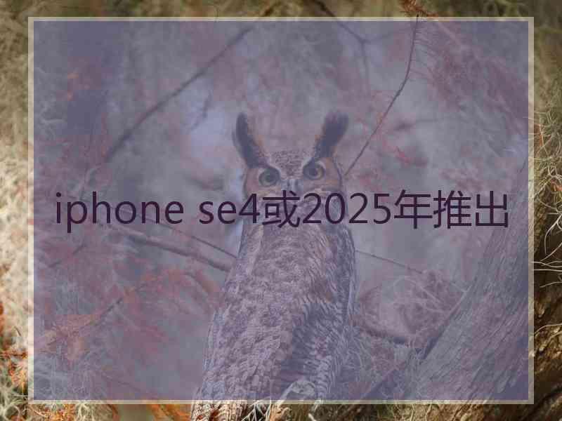 iphone se4或2025年推出