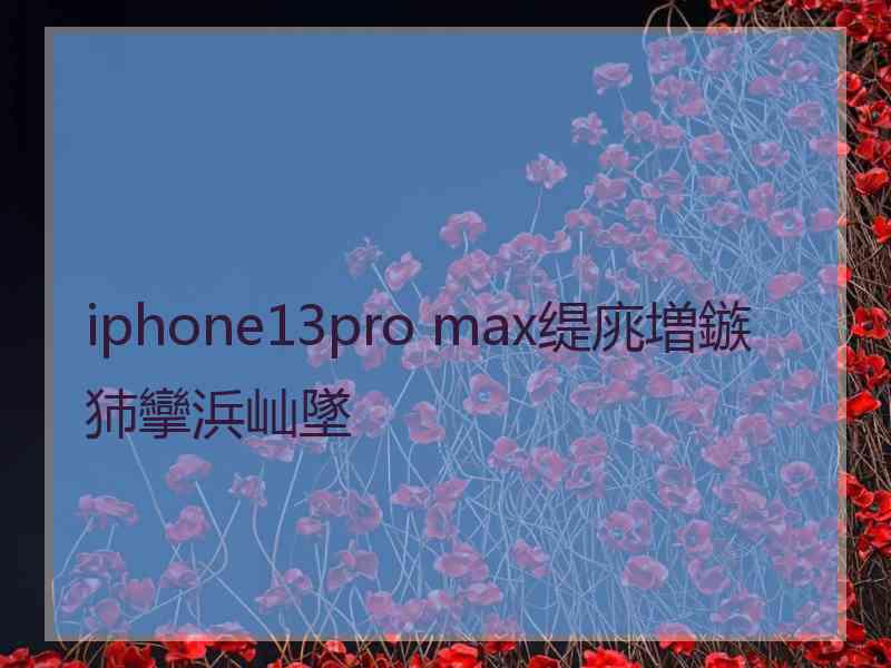 iphone13pro max缇庣増鏃犻攣浜屾墜