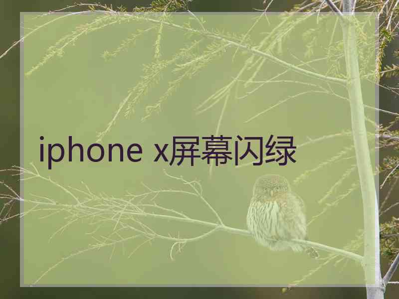 iphone x屏幕闪绿