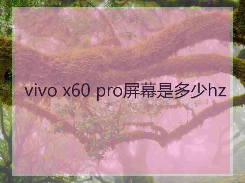 vivo x60 pro屏幕是多少hz