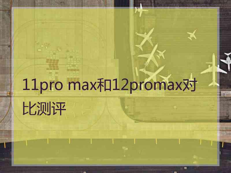 11pro max和12promax对比测评