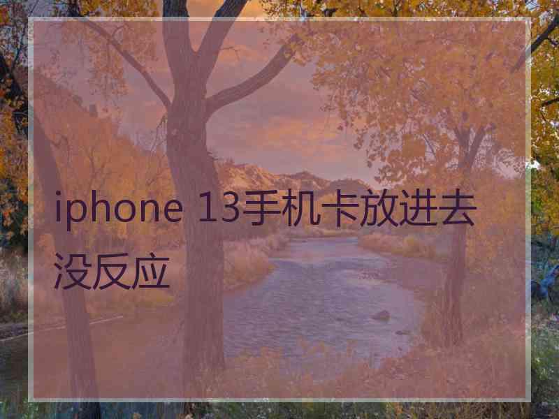 iphone 13手机卡放进去没反应