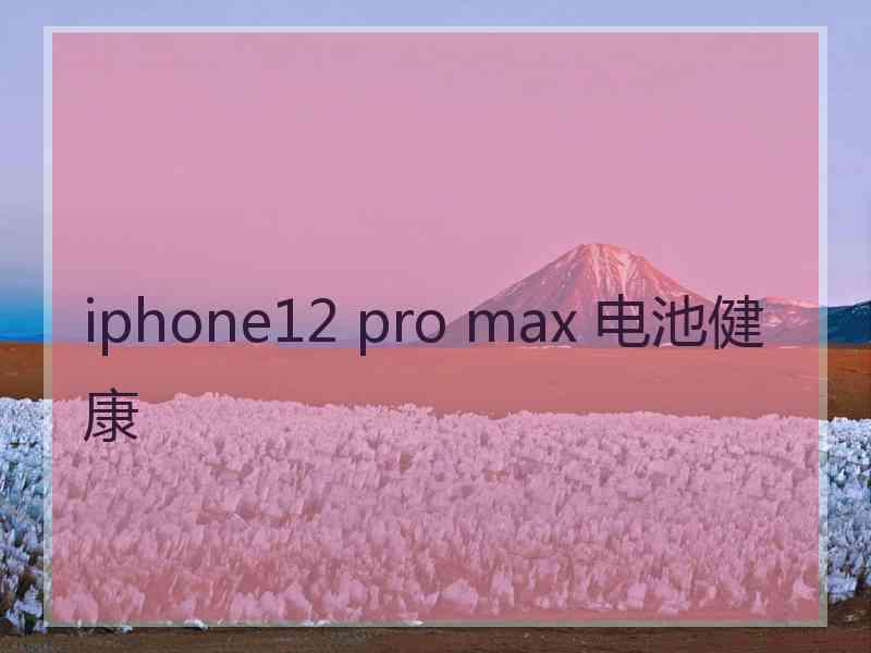 iphone12 pro max 电池健康