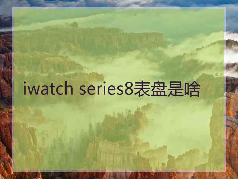 iwatch series8表盘是啥