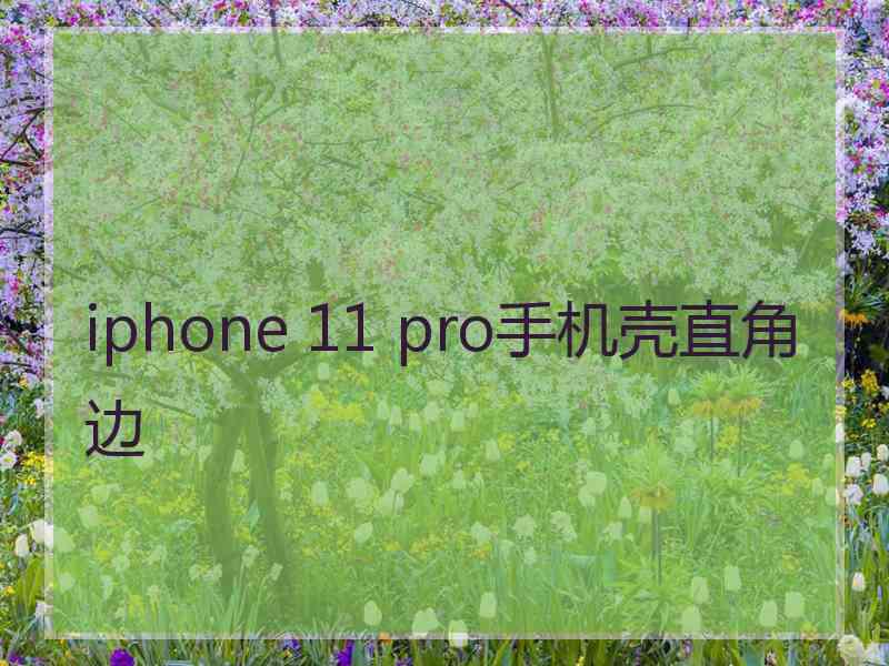 iphone 11 pro手机壳直角边