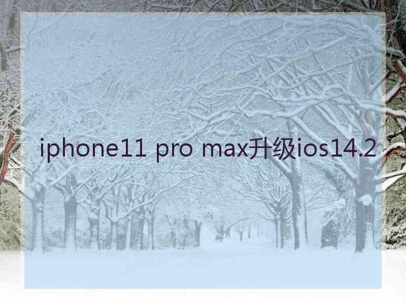 iphone11 pro max升级ios14.2