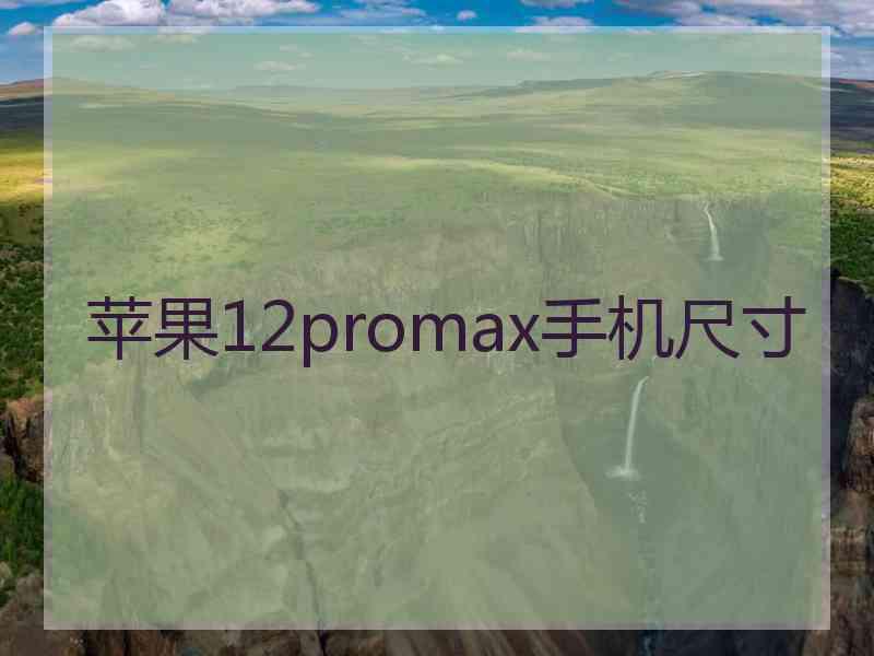 苹果12promax手机尺寸