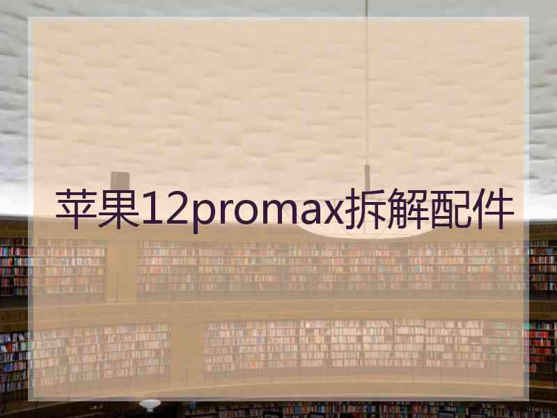 苹果12promax拆解配件