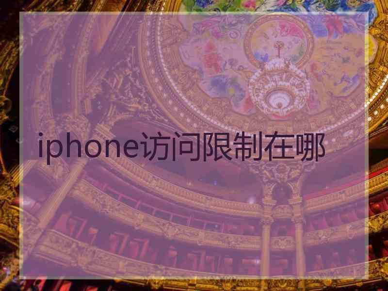 iphone访问限制在哪