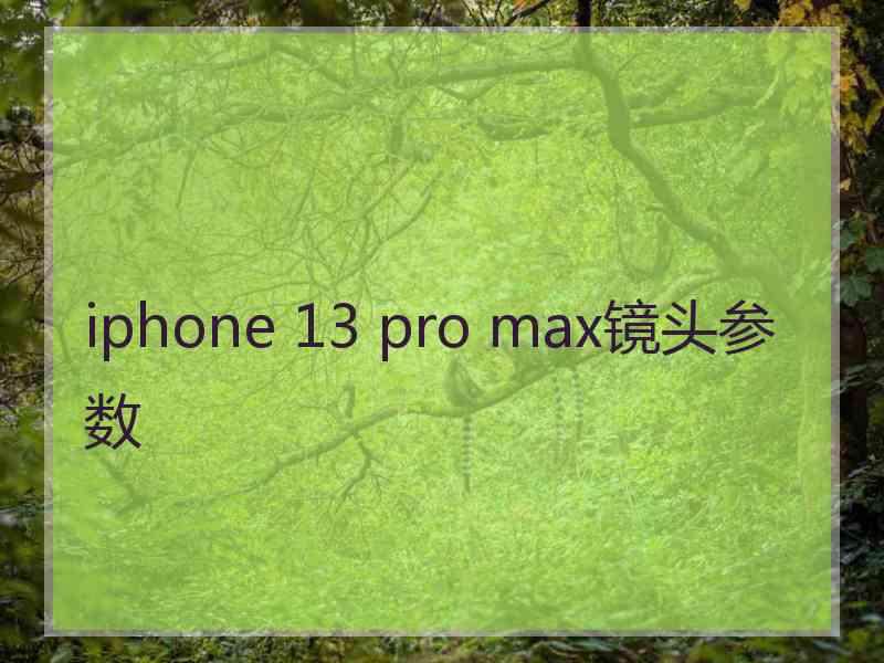 iphone 13 pro max镜头参数