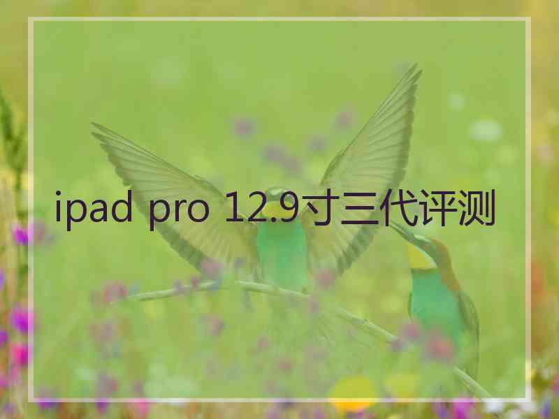 ipad pro 12.9寸三代评测