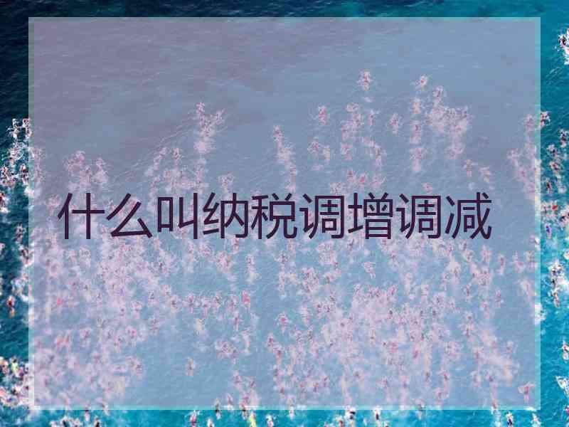 什么叫纳税调增调减