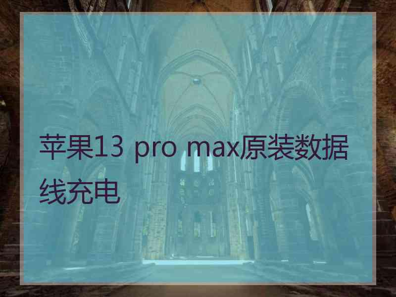 苹果13 pro max原装数据线充电