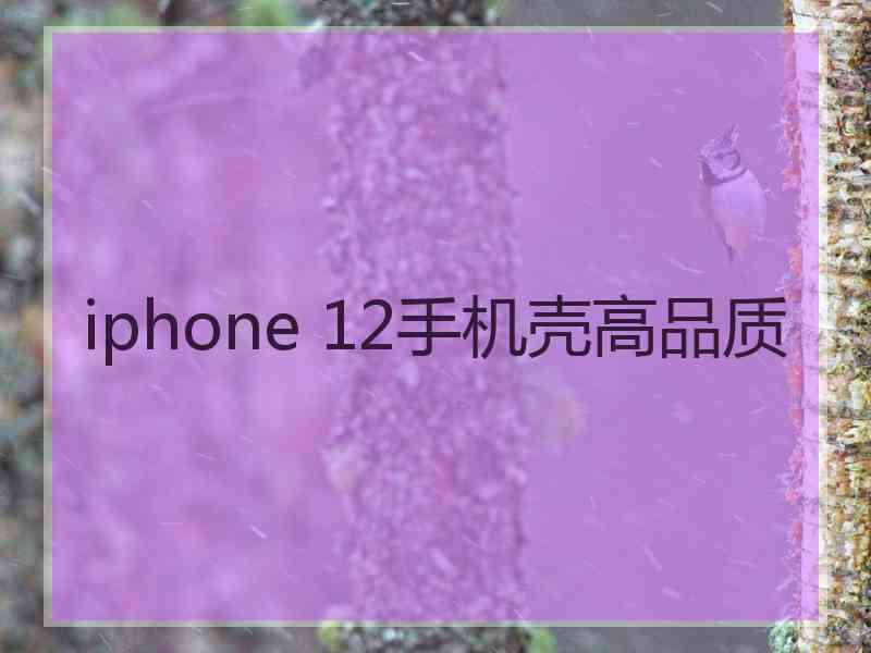 iphone 12手机壳高品质