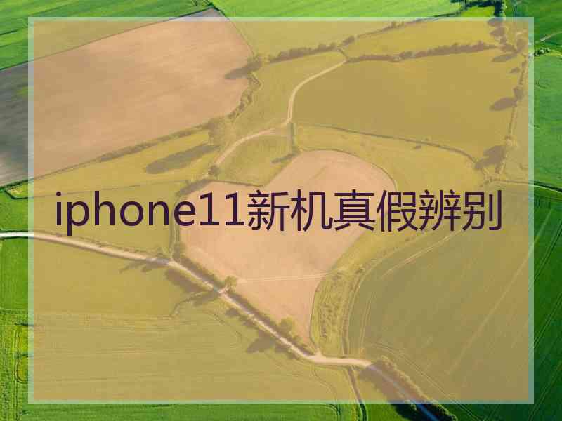 iphone11新机真假辨别