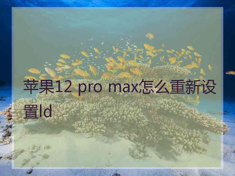 苹果12 pro max怎么重新设置ld