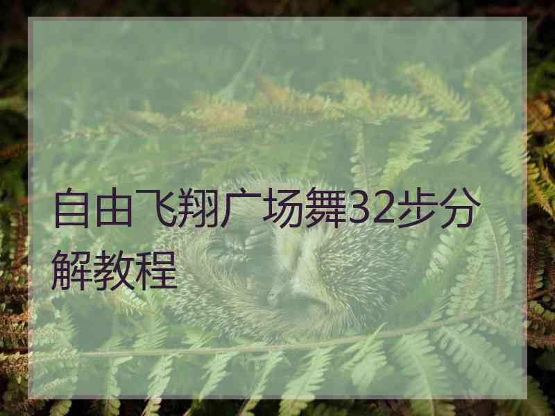 自由飞翔广场舞32步分解教程