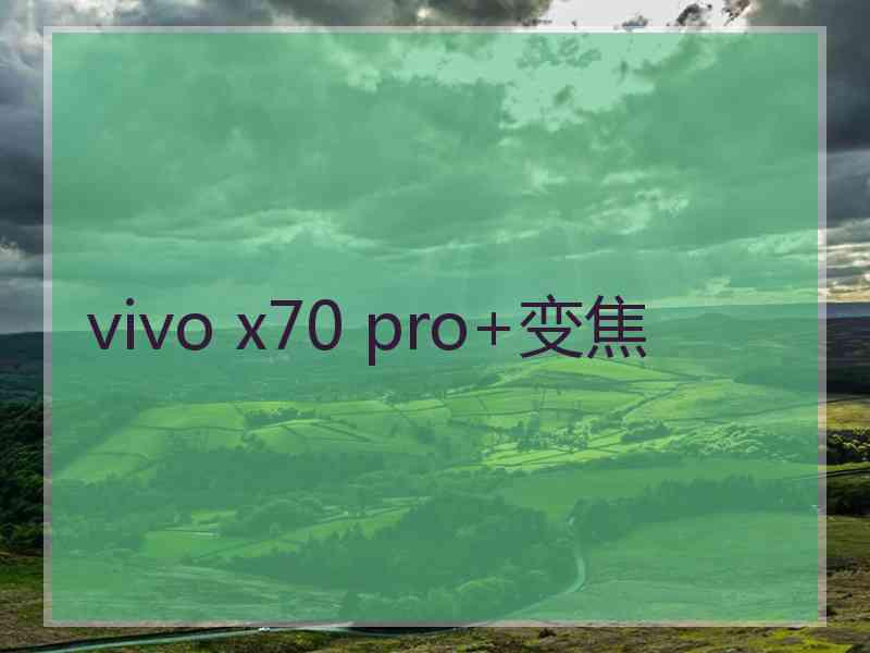 vivo x70 pro+变焦