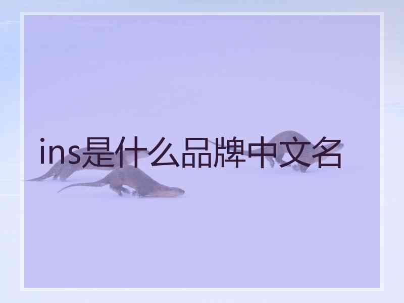 ins是什么品牌中文名