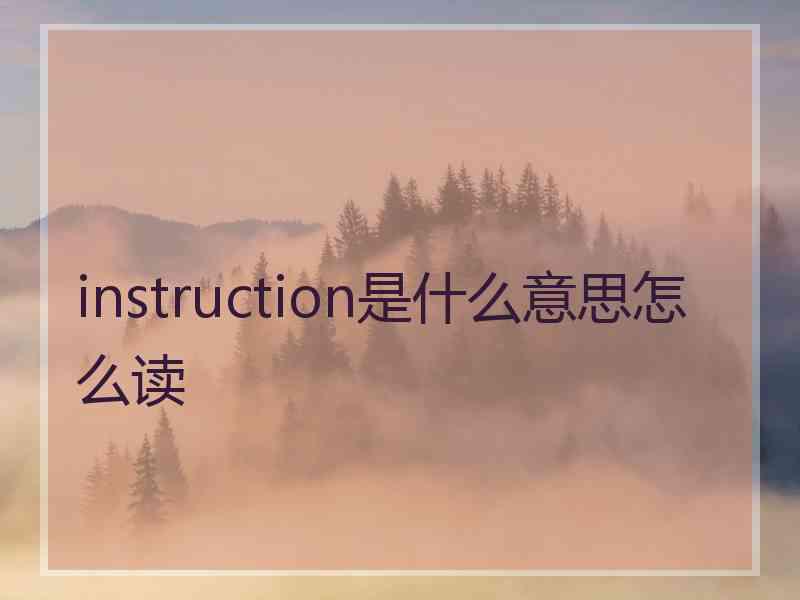 instruction是什么意思怎么读