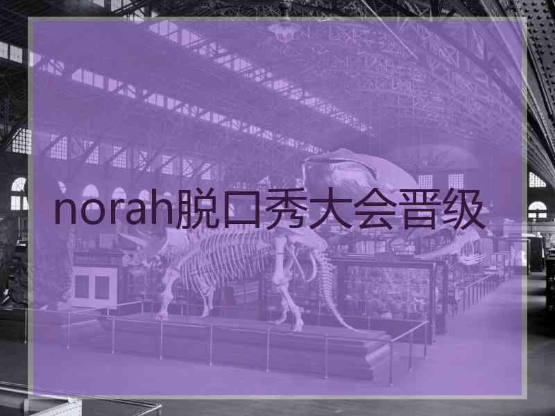 norah脱口秀大会晋级