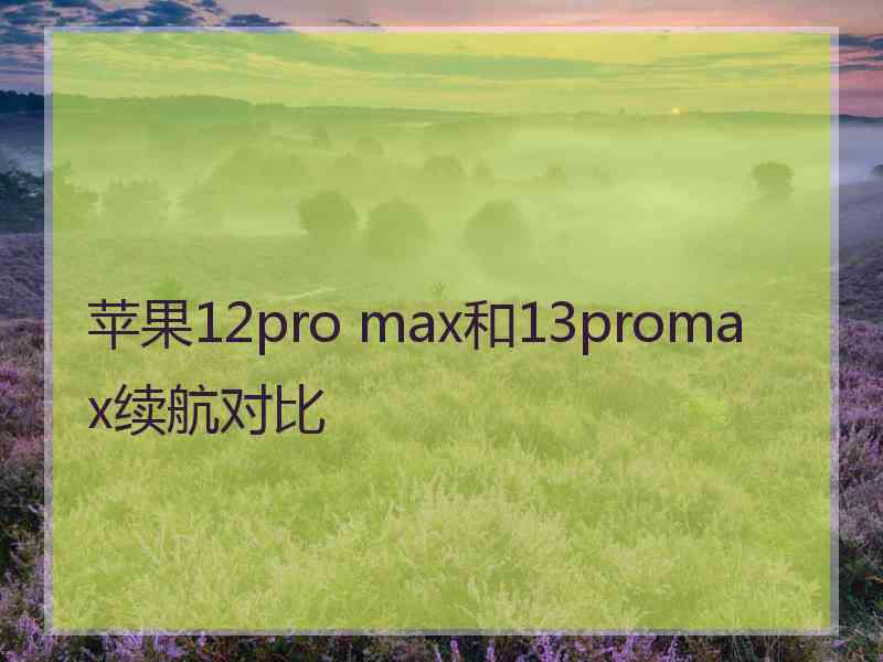 苹果12pro max和13promax续航对比