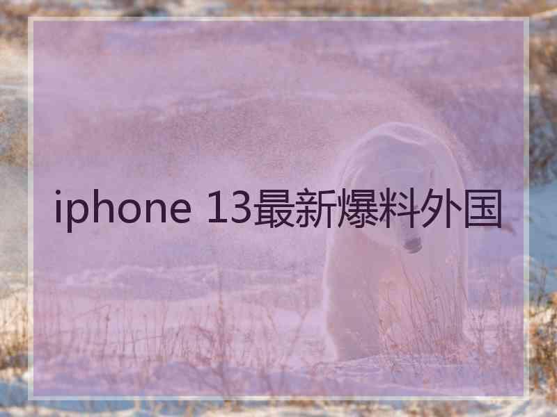 iphone 13最新爆料外国