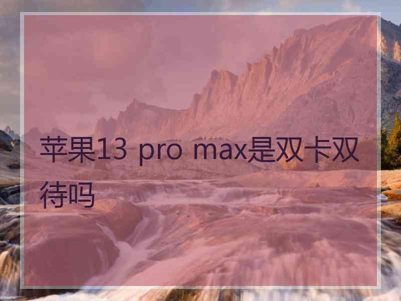 苹果13 pro max是双卡双待吗