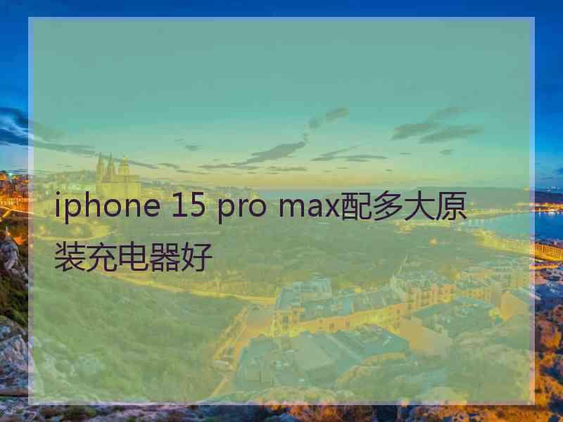 iphone 15 pro max配多大原装充电器好