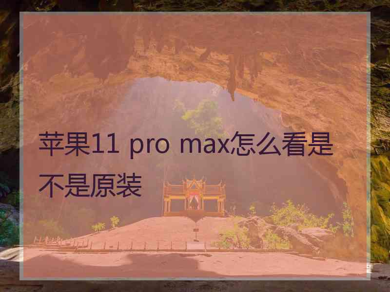 苹果11 pro max怎么看是不是原装