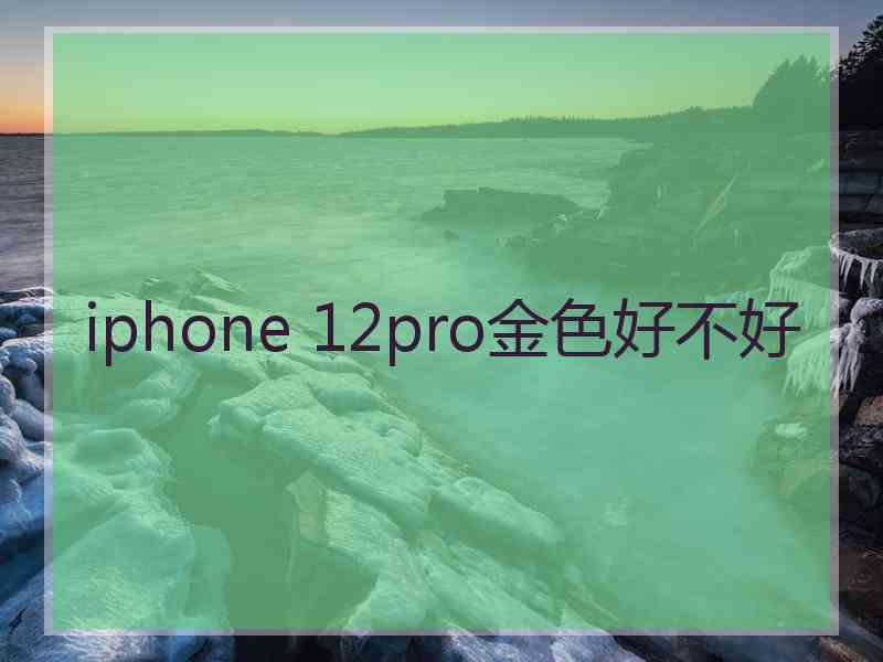 iphone 12pro金色好不好