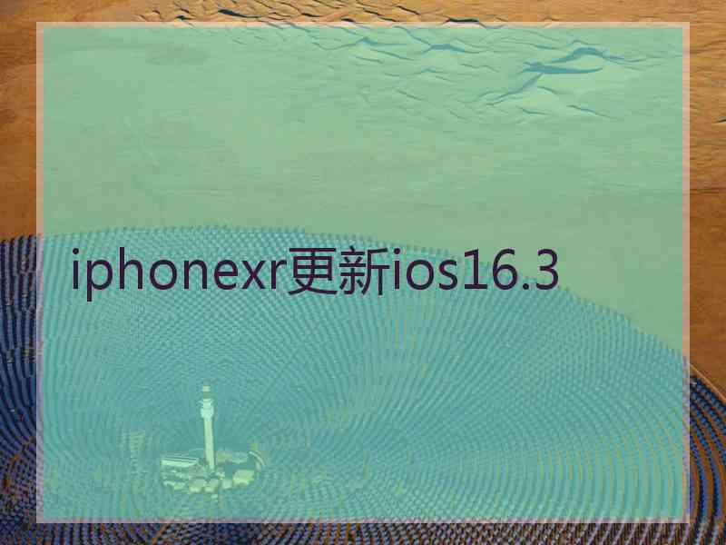 iphonexr更新ios16.3