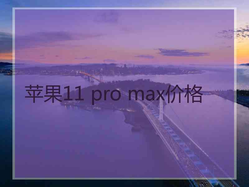 苹果11 pro max价格