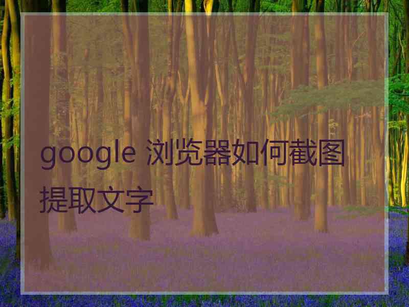 google 浏览器如何截图提取文字