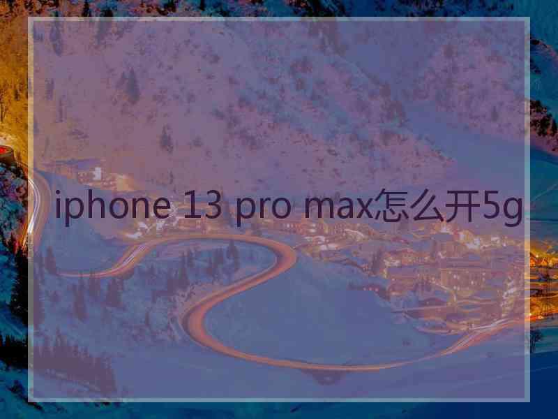 iphone 13 pro max怎么开5g