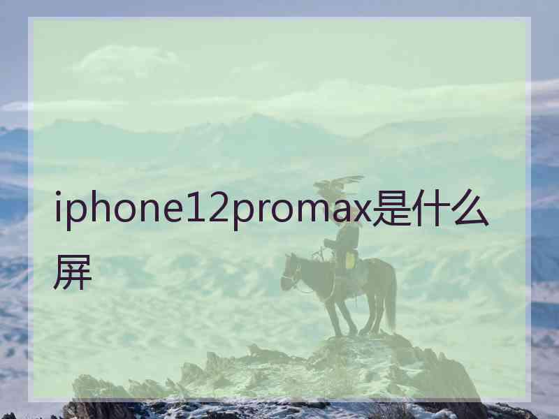 iphone12promax是什么屏