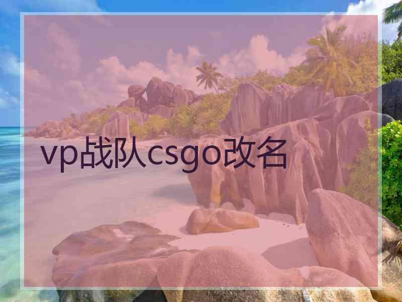 vp战队csgo改名