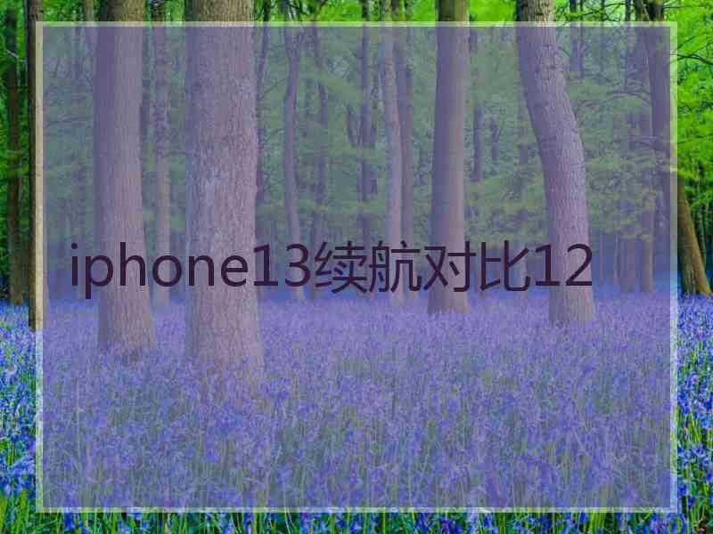 iphone13续航对比12