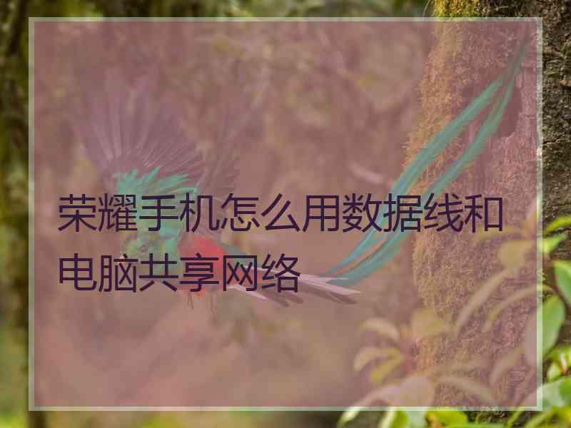 荣耀手机怎么用数据线和电脑共享网络