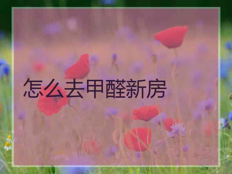 怎么去甲醛新房