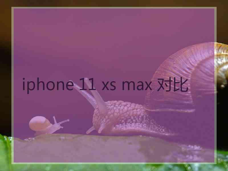 iphone 11 xs max 对比