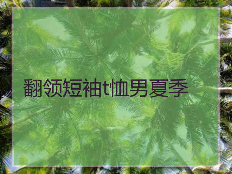 翻领短袖t恤男夏季