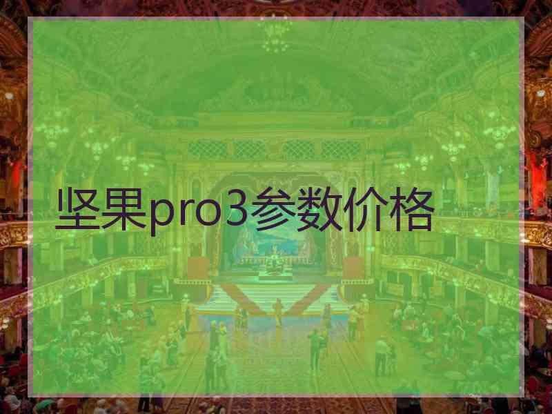 坚果pro3参数价格