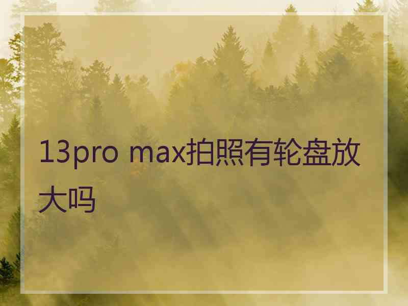 13pro max拍照有轮盘放大吗