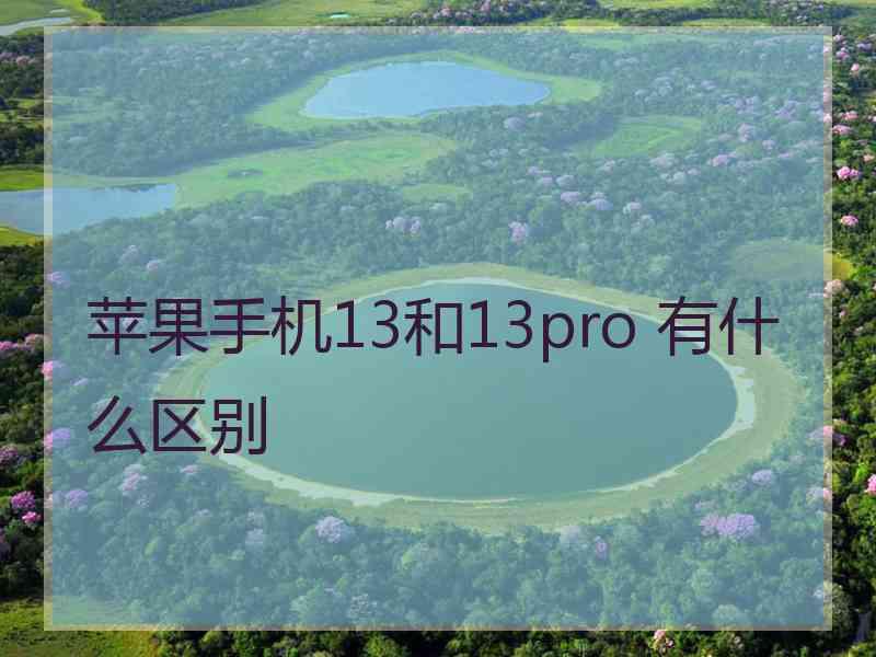 苹果手机13和13pro 有什么区别