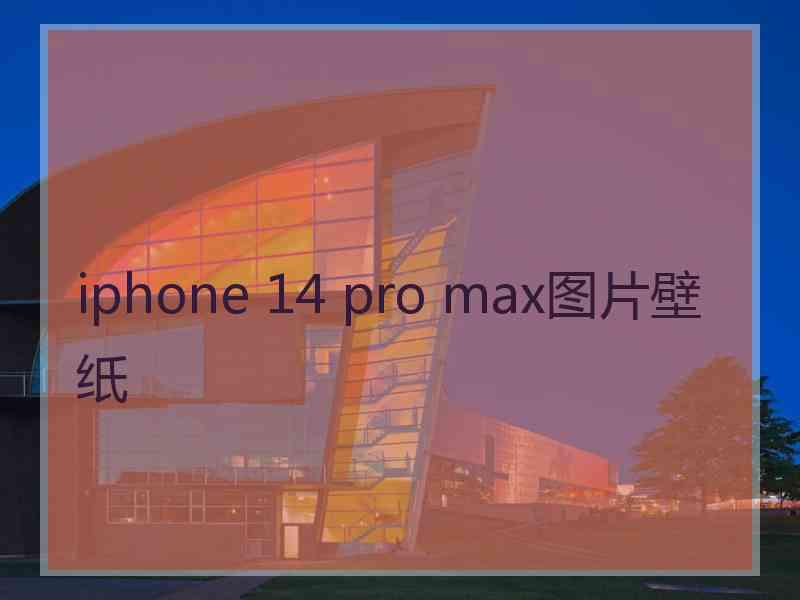 iphone 14 pro max图片壁纸