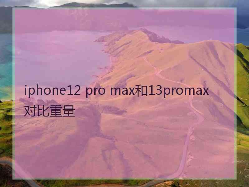 iphone12 pro max和13promax对比重量