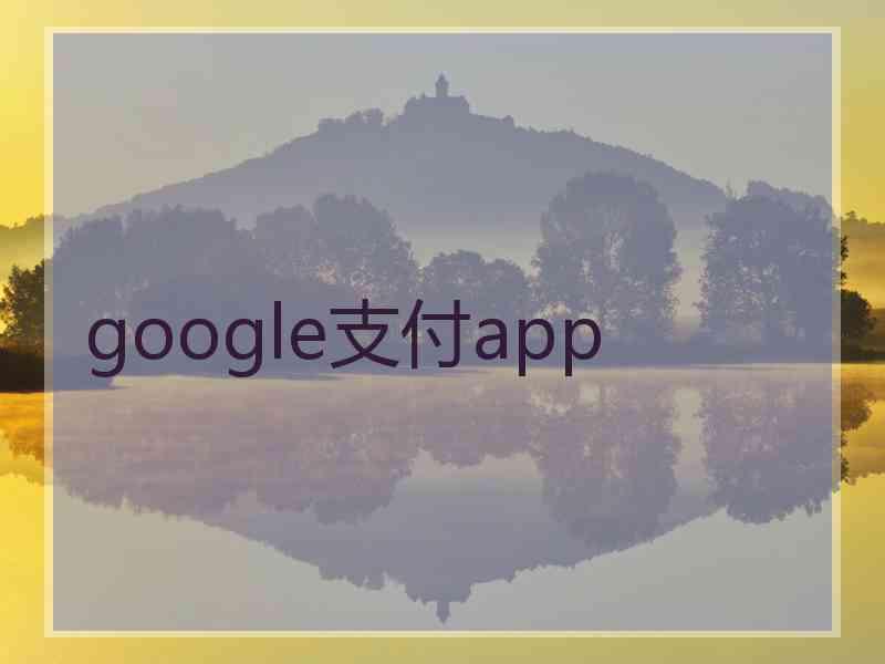 google支付app