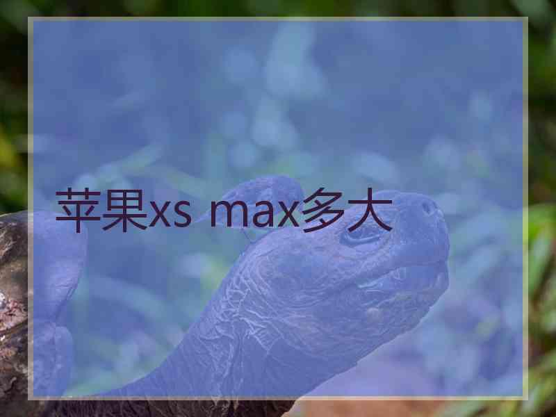 苹果xs max多大